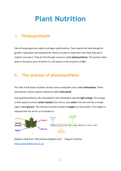 Plant Nutrition - cloudfront.net