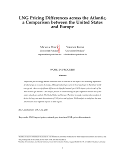 Paper - RWTH AACHEN UNIVERSITY Institute for Future Energy