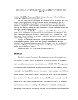1 EROSION: AN ANALYSIS OF STREAM BANK PROTECTORS ON
