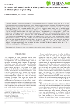 Dry matter and water dynamics of wheat grains in response to