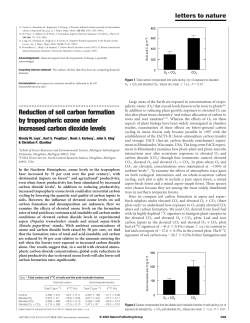 Reduction of soil carbon formation by tropospheric ozone under
