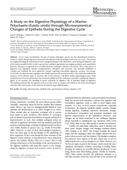 A Study on the Digestive Physiology of a Marine Polychaete (Eulalia