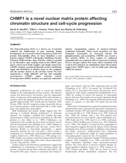 CHMP1 functions in the nucleus