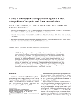 A study of chlorophyll-like and phycobilin pigments in the C