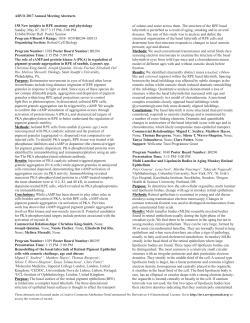 Session 158 New insights in RPE anatomy and physiology