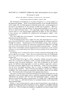 Accordingly, this is a study of the electric currents around developing