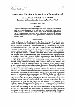 Spontaneous Mutation in Spheroplasts of Escherichia