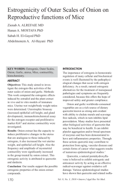 Estrogenicity of Outer Scales of Onion on Reproductive functions of