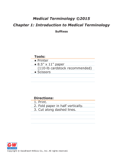 Chapter 1 Suffixes E-Flash Cards