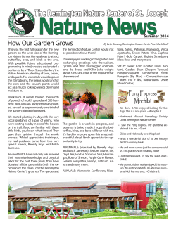 The Remington Nature Center of St. Joseph