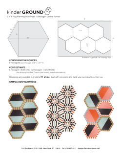 6 Hexagon Double Runner