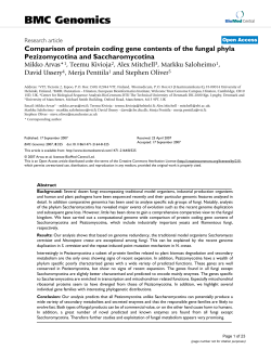 Comparison of protein coding gene contents of the fungal phyla