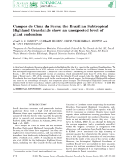 Campos de Cima da Serra: the Brazilian Subtropical Highland