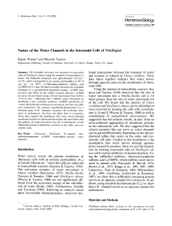 Nature of the water channels in the internodal cells of <Emphasis
