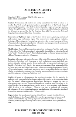 airline calamity - Brooklyn Publishers