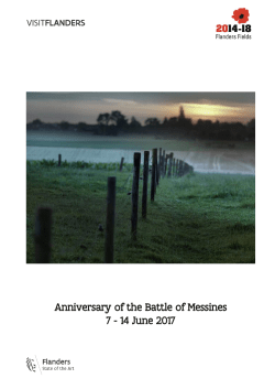 Battle of Messines