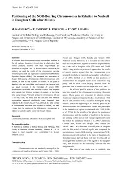 Positioning of the NOR-Bearing Chromosomes in Relation to
