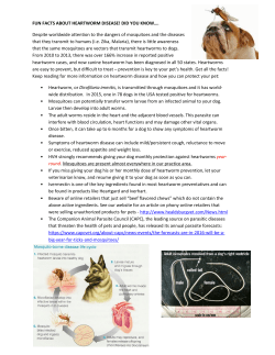 FUN FACTS ABOUT HEARTWORM DISEASE!