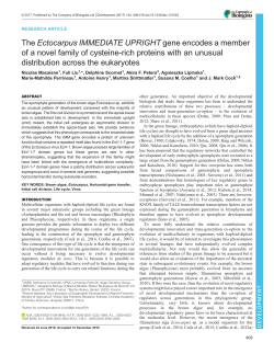 PDF + SI - Development - The Company of Biologists