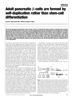 Adult pancreatic b-cells are formed by self-duplication