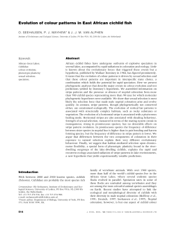 Evolution of colour patterns in East African cichlid fish
