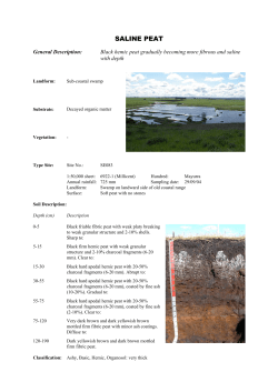 saline peat