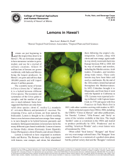 Lemons in Hawai`i