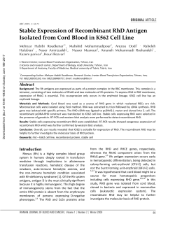 Stable Expression of Recombinant RhD Antigen Isolated from Cord
