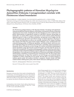Phylogeographic patterns of Hawaiian Megalagrion damselflies