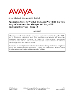 Application Notes for VoSKY Exchange Pro VISIP