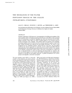 the mechanism of the water expulsion vesicle of the ciliate