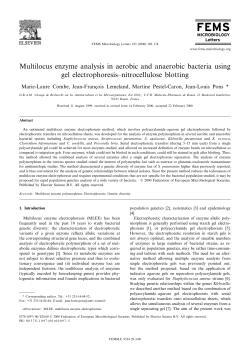 Multilocus enzyme analysis in aerobic and anaerobic bacteria using