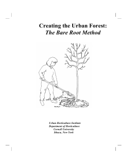 Creating the Urban Forest: The Bare Root Method