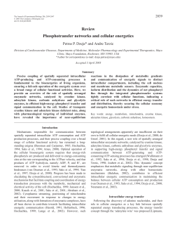 as a PDF