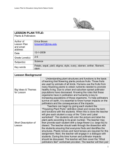 LESSON PLAN TITLE: Lesson Background