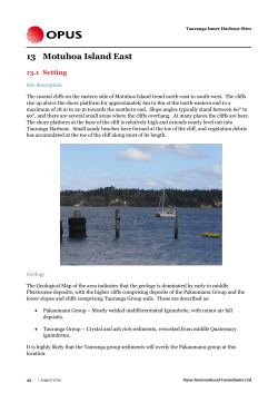 Default Document - Tauranga City Council