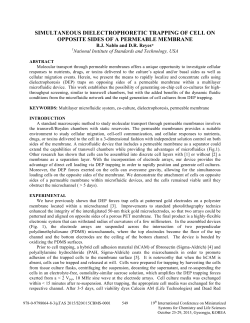 simultaneous dielectrophoretic trapping of cell on opposite sides of