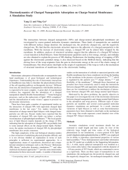 Thermodynamics of Charged Nanoparticle Adsorption on Charge