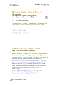 Electronic Excitation Energy Transfer - Gion Calzaferri