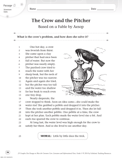 The Crow and the Pitcher