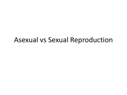 Extra – Asexual vs Sexual Reproduction