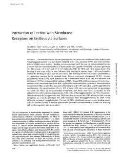 Interaction of Receptors on Lectins with Membrane Erythrocyte