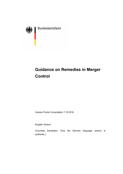 Guidance on Remedies in Merger Control