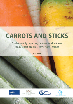 Carrots and Sticks - Global Reporting Initiative
