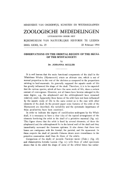 zoologische mededelingen