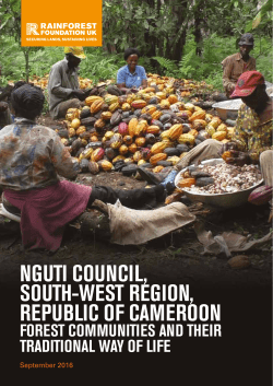NGUTI COUNCIL, SOUTH-WEST REGION, REPUBLIC OF