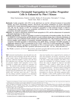 Brief UltraRapid Communication