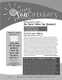 The Sheep Follow the Shepherd