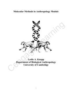 Molecular Methods in Anthropology Module Leslie A. Knapp