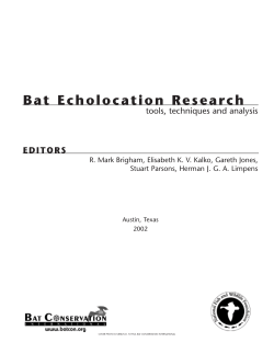 Bat Echolocation Research